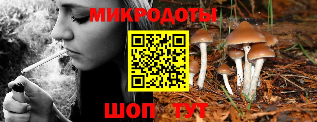 Галлюциногенные грибы MAGIC MUSHROOMS Соль-Илецк