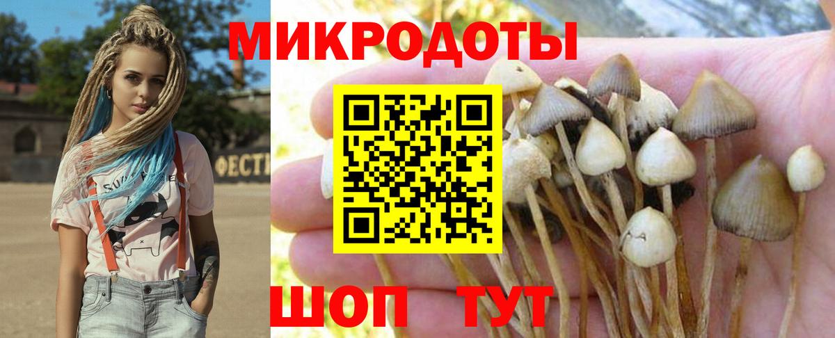 Галлюциногенные грибы Cubensis  Псилоцибиновые грибы MAGIC MUSHROOMS  Вход с VPN  Соль-Илецк 